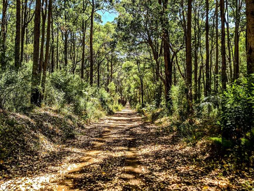 Wadandi Track, Margaret River, WA