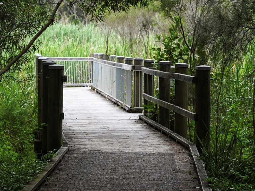 Warriewood Wetlands, Warriewood, NSW