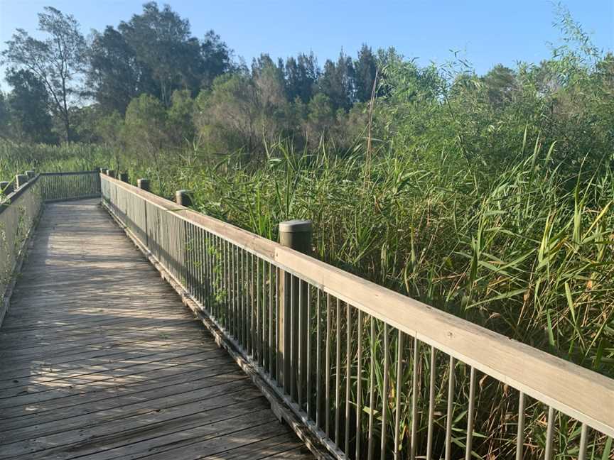 Warriewood Wetlands, Warriewood, NSW