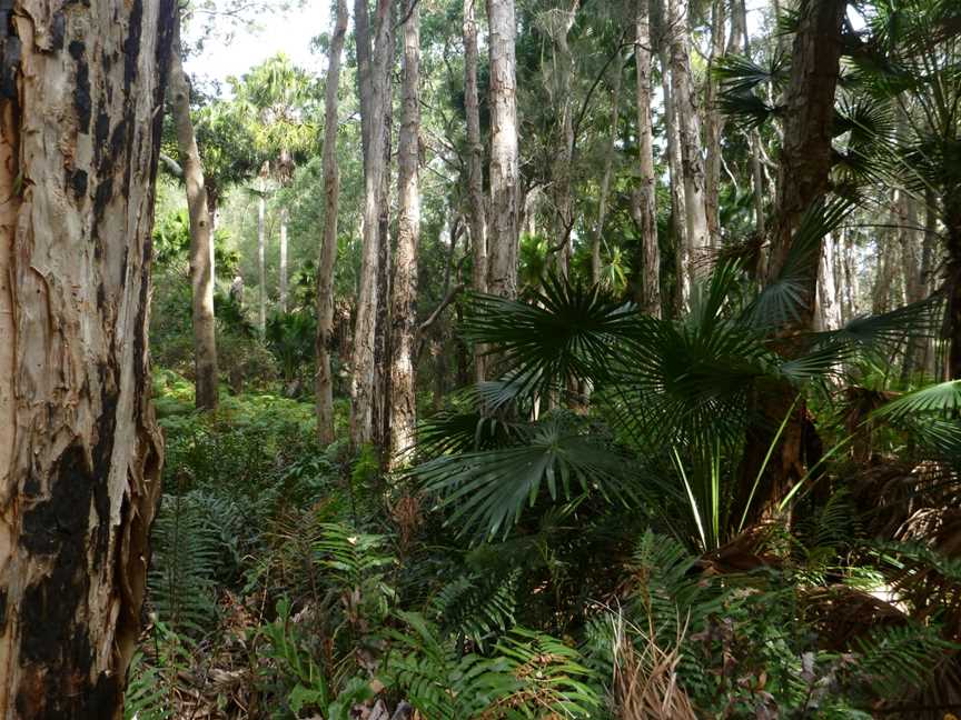 Wyrrabalong National Park, Magenta, NSW