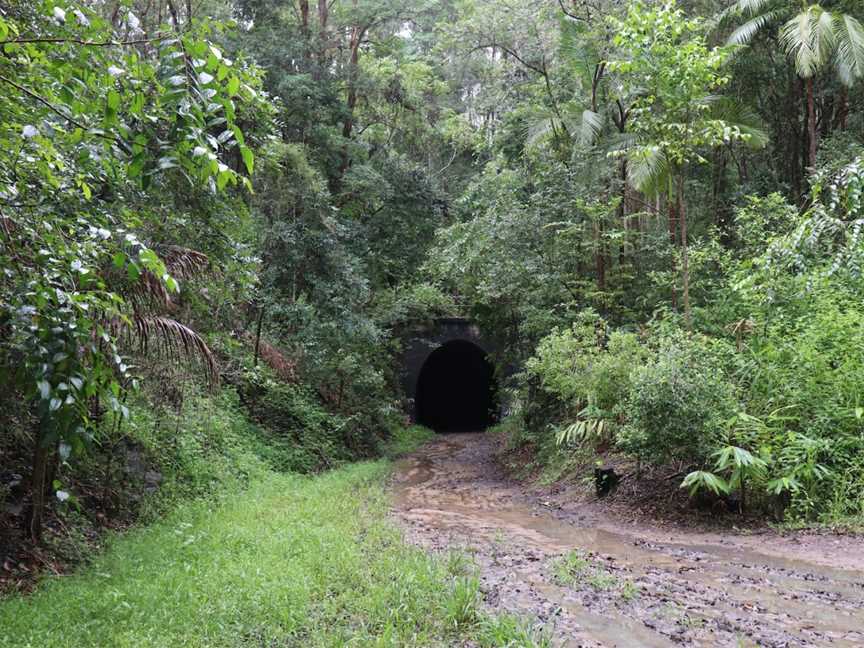 Dularcha National Park, Landsborough, QLD