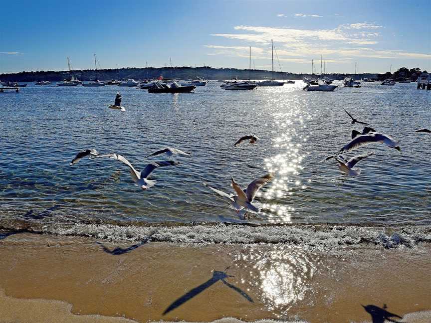 Gibsons Beach, Vaucluse, NSW