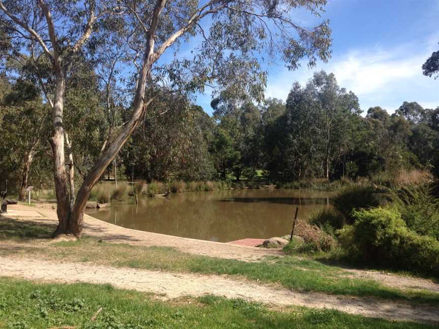 Koonung creek reserve, Balwyn, VIC