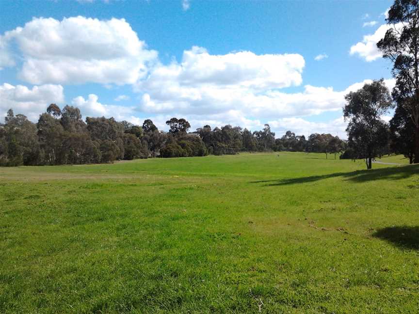 Koonung creek reserve, Balwyn, VIC