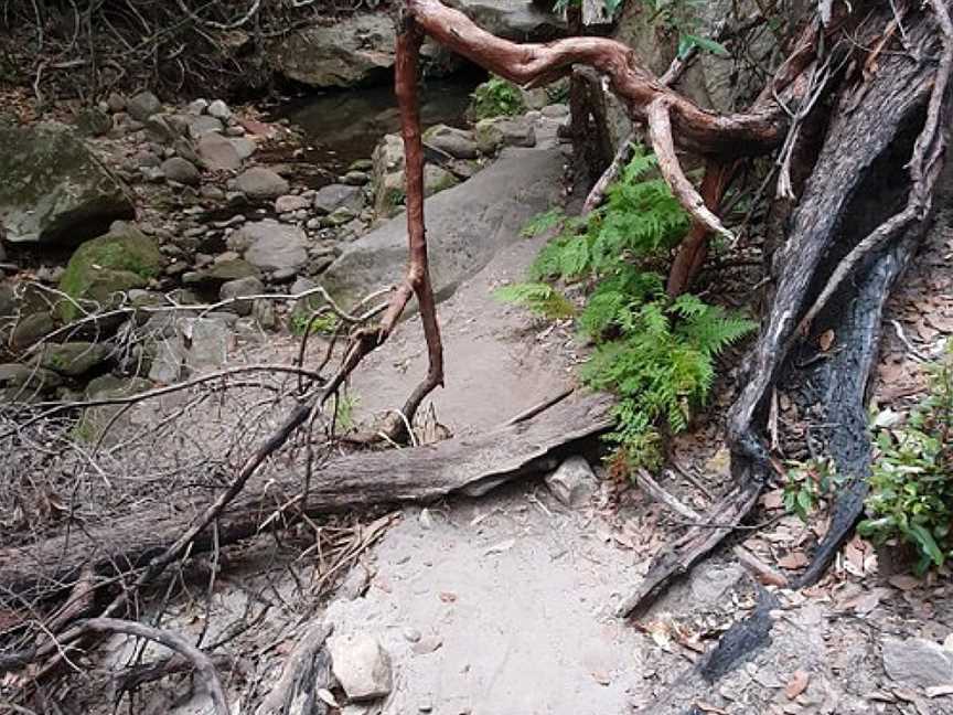 Mickey Creek Gorge walk, Carnarvon National Park, QLD