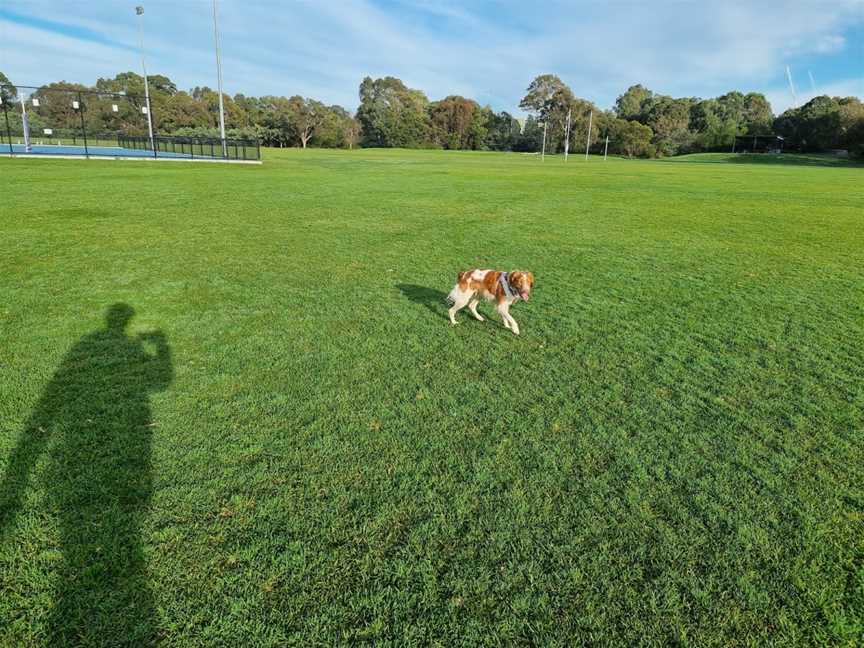 Merri Park, Northcote, VIC