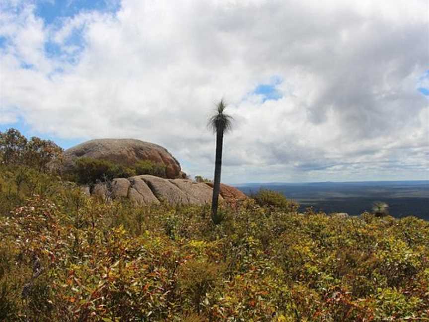 Mount Lindesay Walk Trail, Denmark, WA