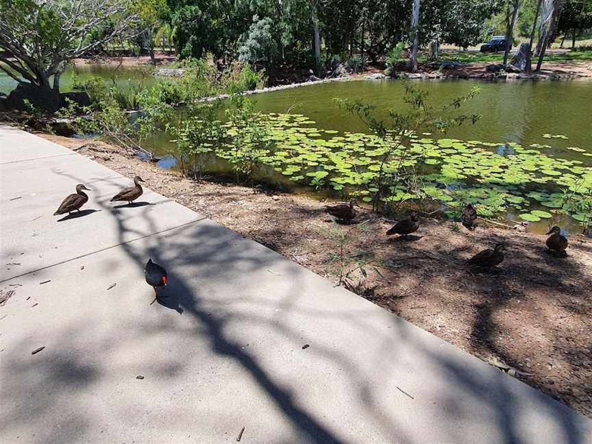 Reg Tanna Park, Gladstone, QLD