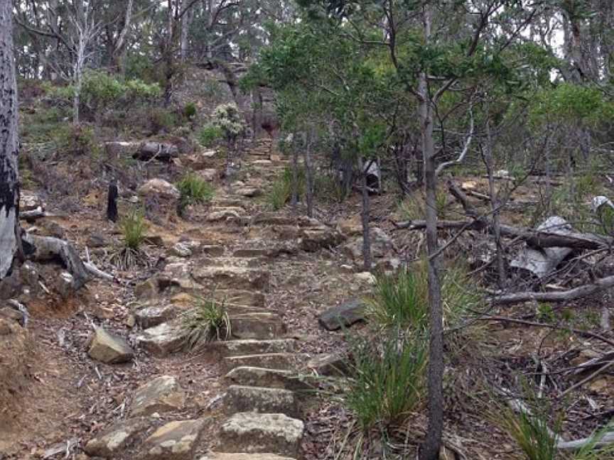 The Pipeline Track, Hobart, TAS