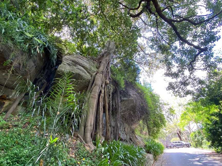 Watt Park, Lavender Bay, NSW