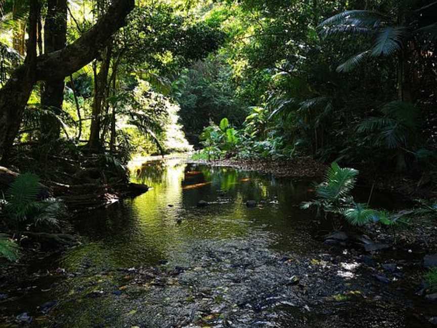 Dreaming Trail, Mission Beach, QLD