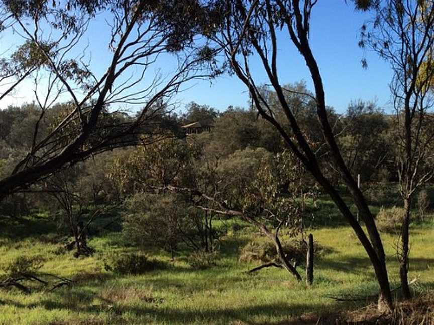 Gwambygine Pool Conservation Reserve, York, WA