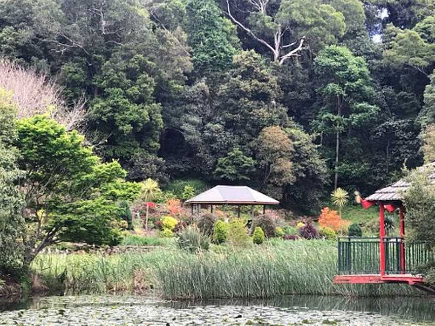 Illawarra Rhododendron Garden, Wollongong, NSW