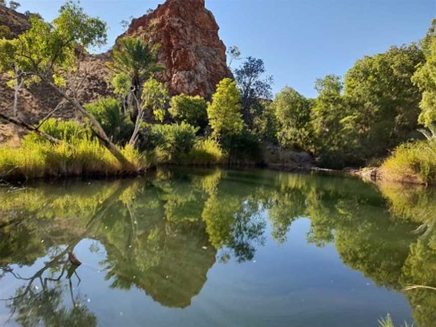 Palm Springs Nature Reserve, Halls Creek, WA