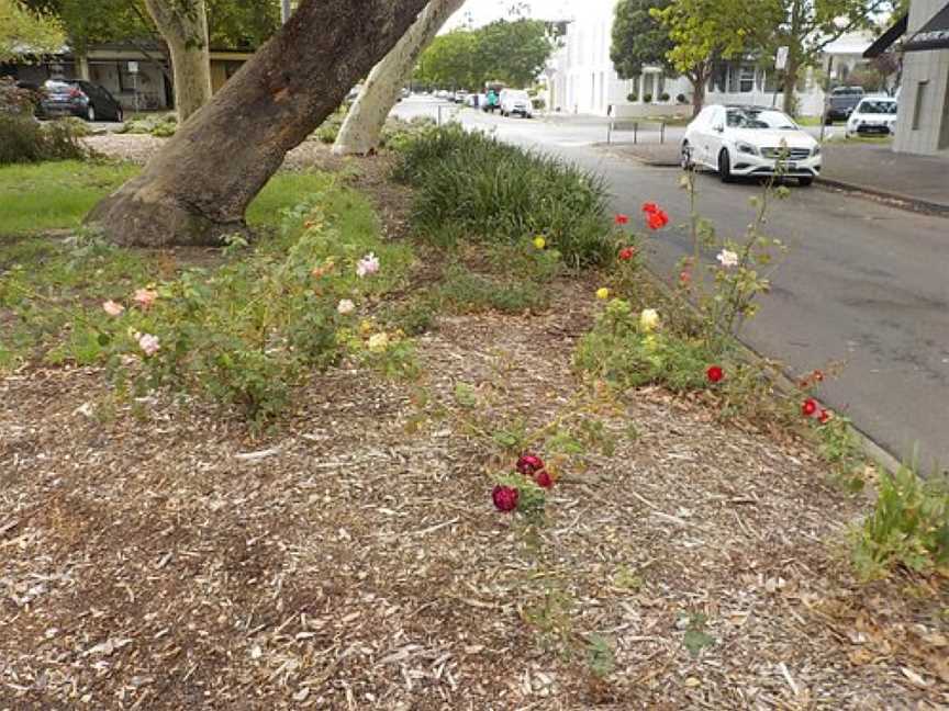 Rats of Tobruk Reserve, Albert Park, VIC