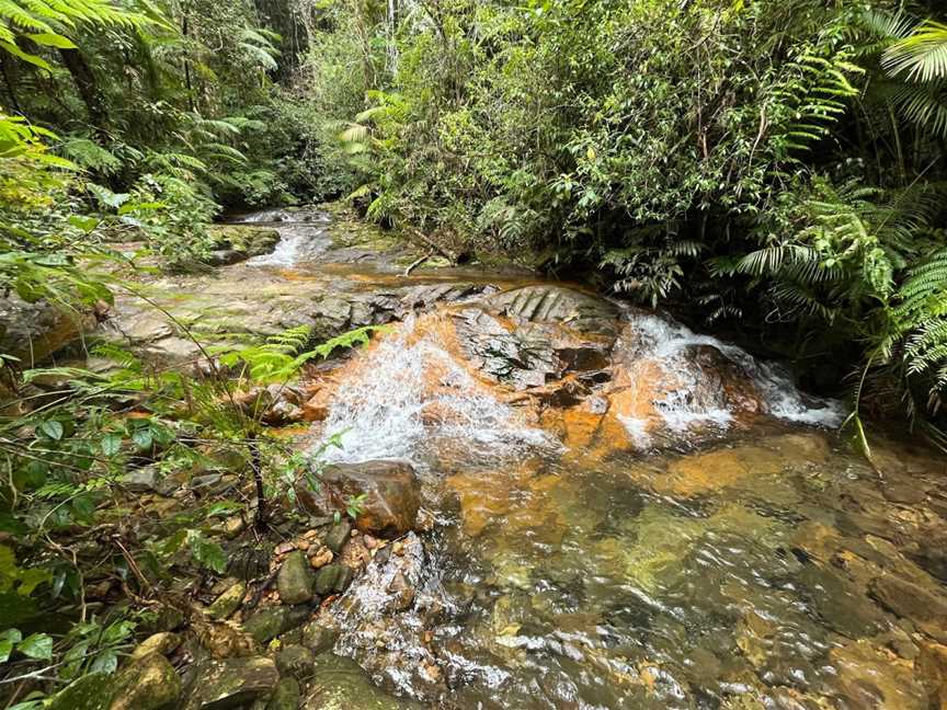 Tully Falls National Park, Ravenshoe, QLD