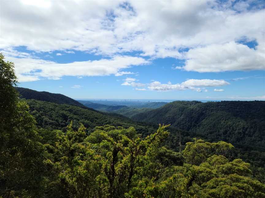 Wunburra Lookout, Springbrook, QLD