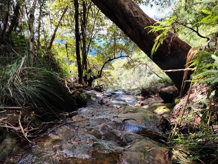 Wunburra Lookout, Springbrook, QLD