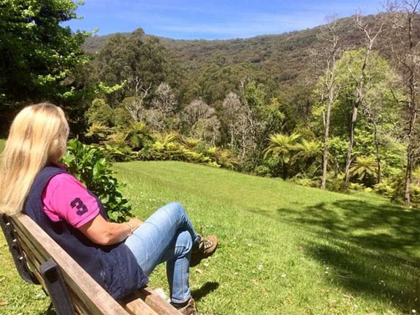 Doongalla Homestead Picnic Ground, Mount Dandenong, VIC