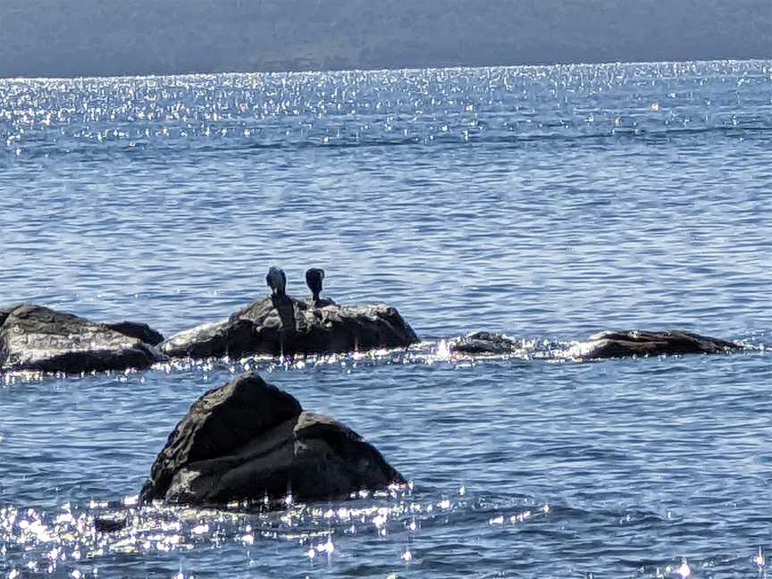 Hinsby Beach, Taroona, TAS