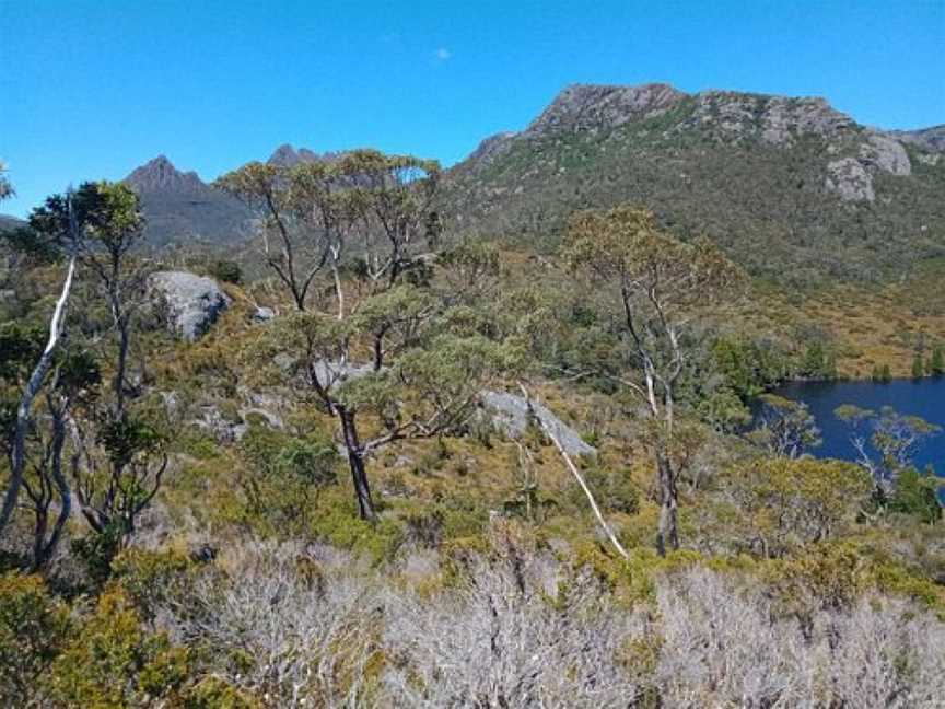 Lake Lilla Track, Cradle Mountain-Lake St. Clair National Park, TAS