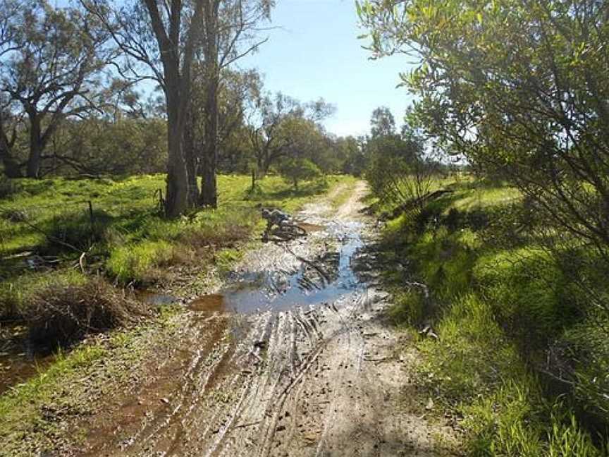 Melrose to Wilmington Cycle and Walking Track, Melrose, SA