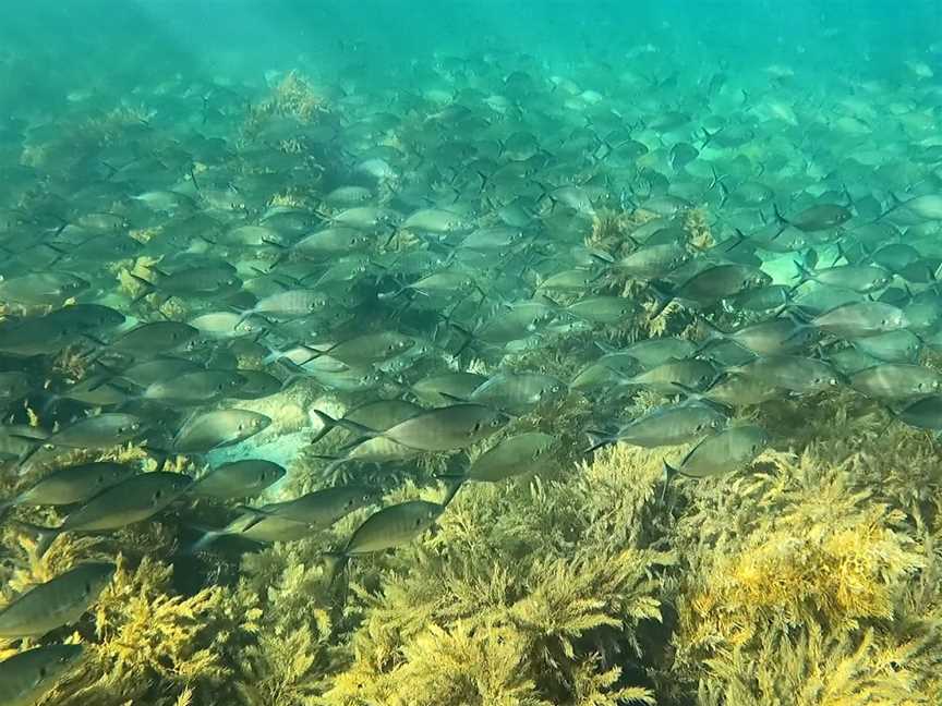 Smooth Pool, Streaky Bay, SA