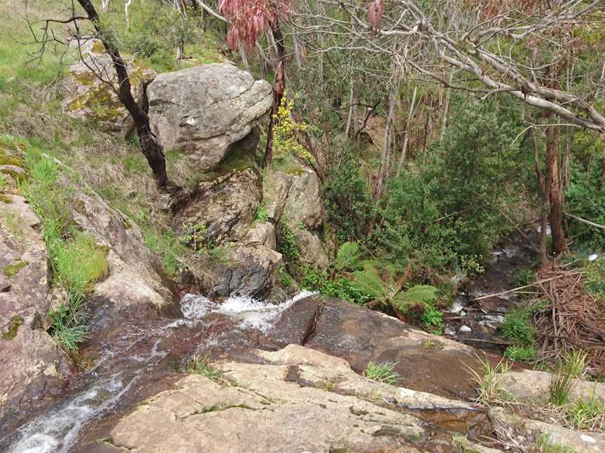 Stanley Park, Mount Macedon, VIC