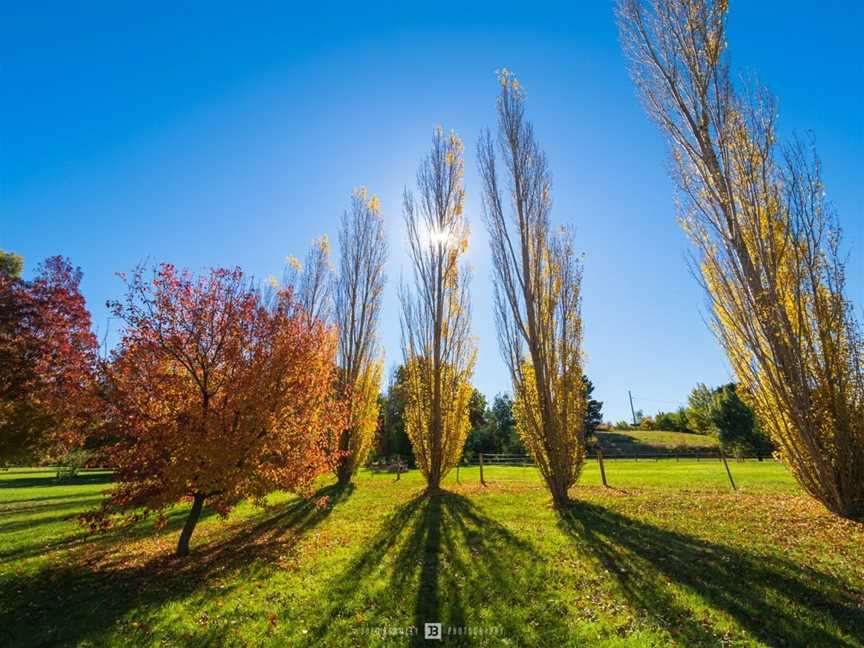 Taradale Mineral Springs Reserve, Taradale, VIC