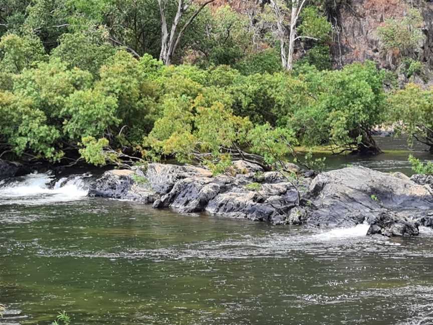 Wujal Wujal Falls, Bloomfield, QLD