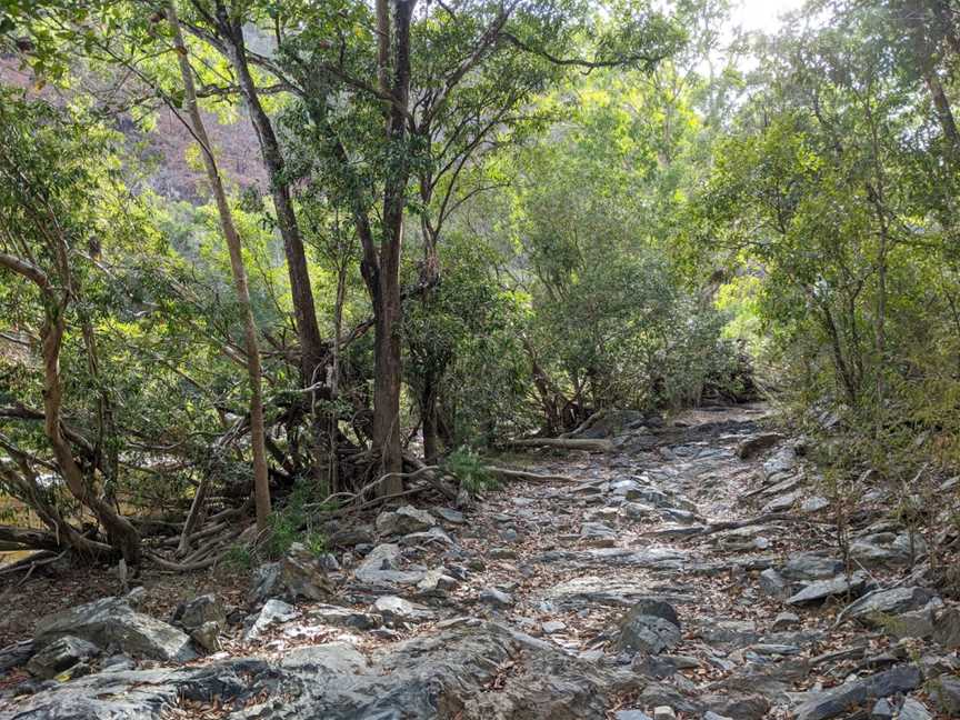 Wujal Wujal Falls, Bloomfield, QLD