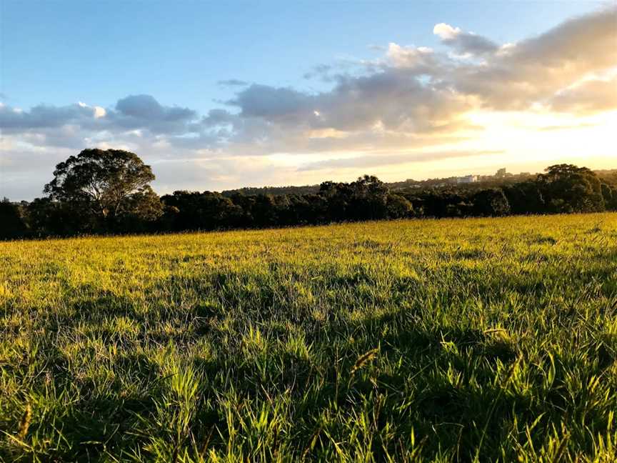 Banyule Flats Reserve, Viewbank, VIC