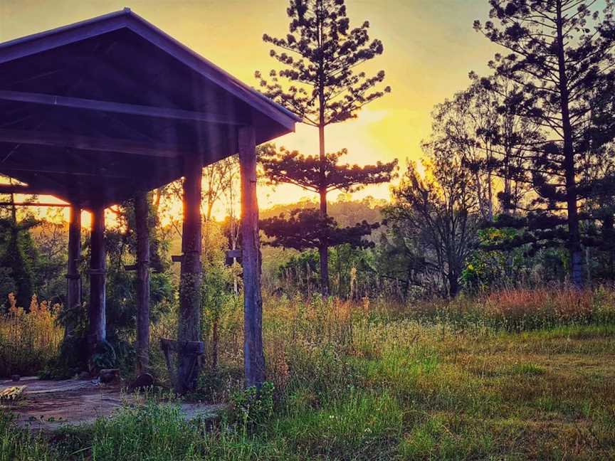 Brooyar State Forest, Gympie, QLD