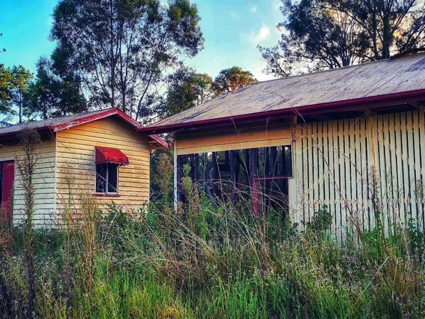 Brooyar State Forest, Gympie, QLD