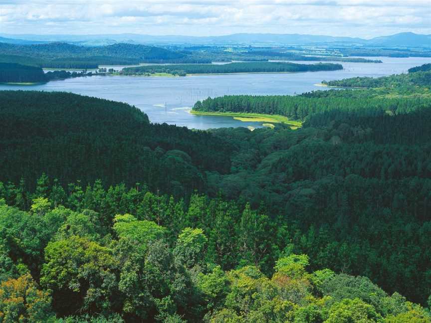 Danbulla National Park, Tinaroo, QLD