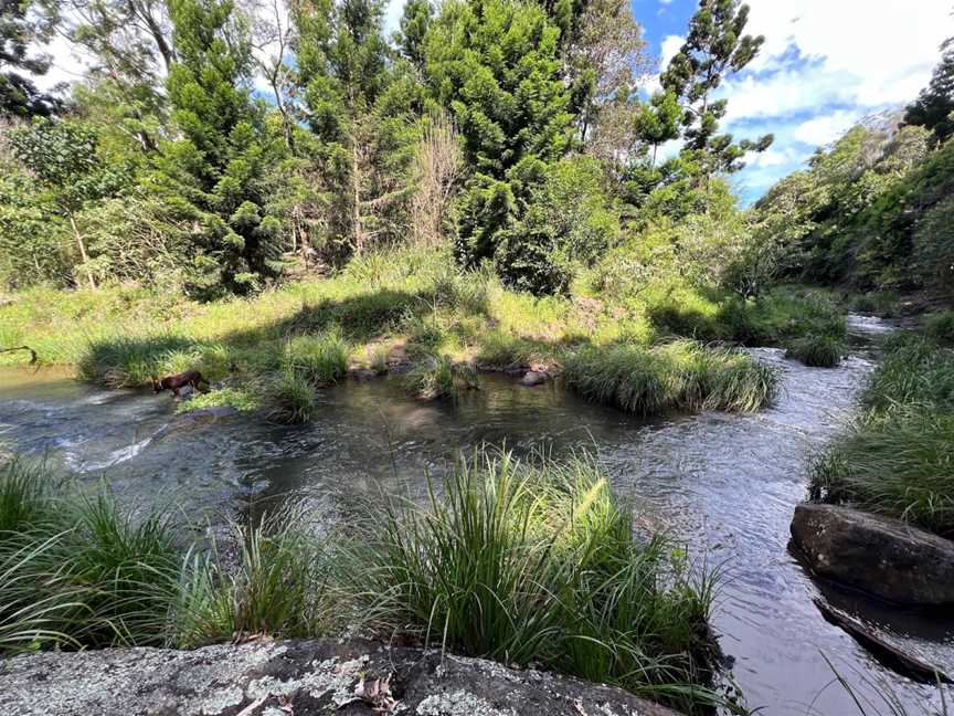 Denham Scenic Reserve, Beechmont, QLD