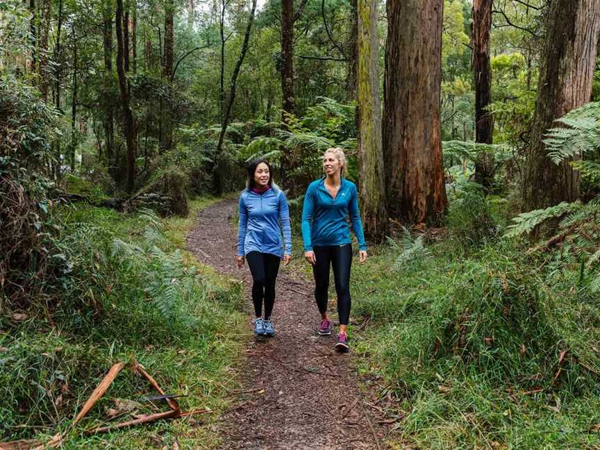 Dandenong Park, Dandenong, VIC