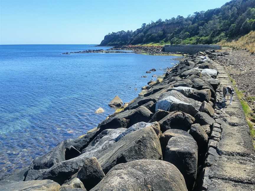 Fossil Beach, Mornington, VIC