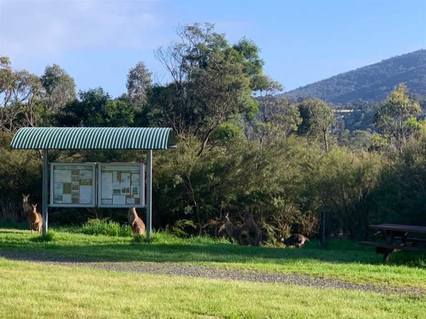 Glenfern Valley Bushlands, Upwey, VIC