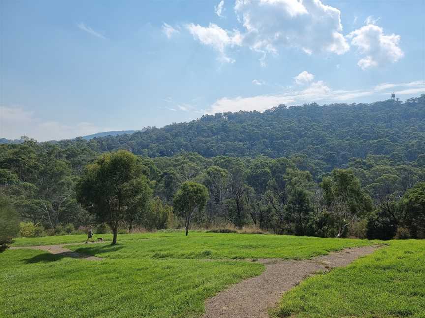 Glenfern Valley Bushlands, Upwey, VIC