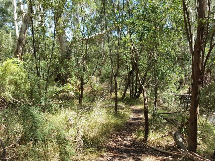 Glenfern Valley Bushlands, Tourist attractions in Upwey