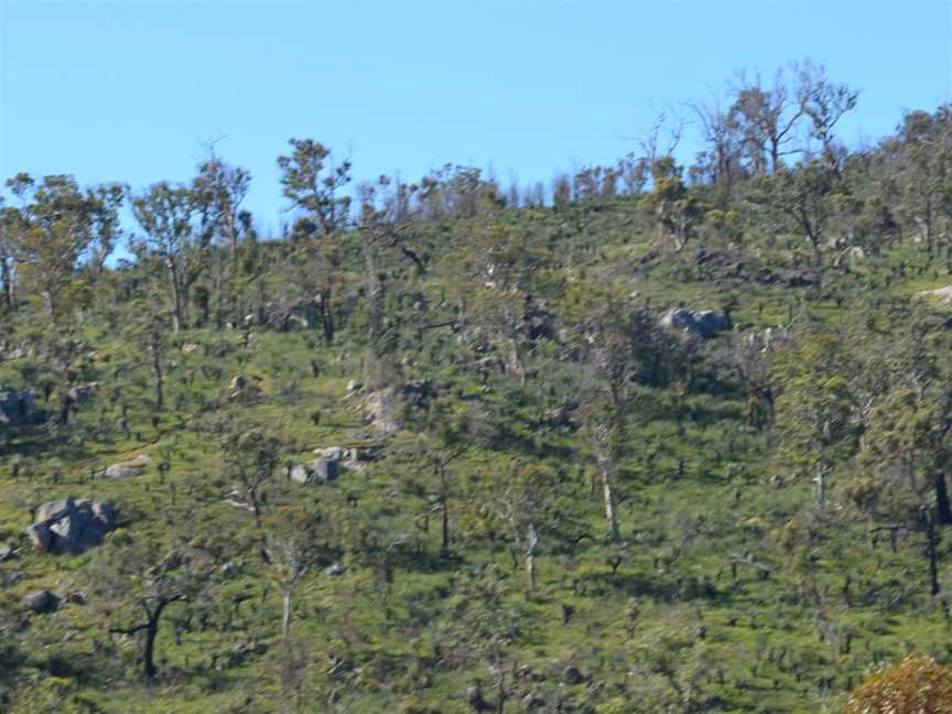 Greenmount National Park, Greenmount, WA