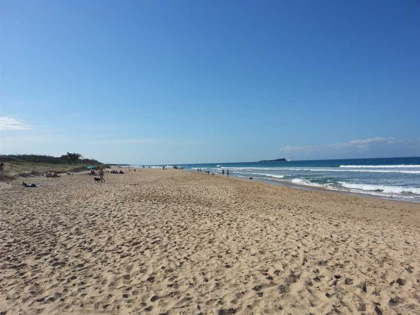 Maroochy River Conservation Park, Twin Waters, QLD