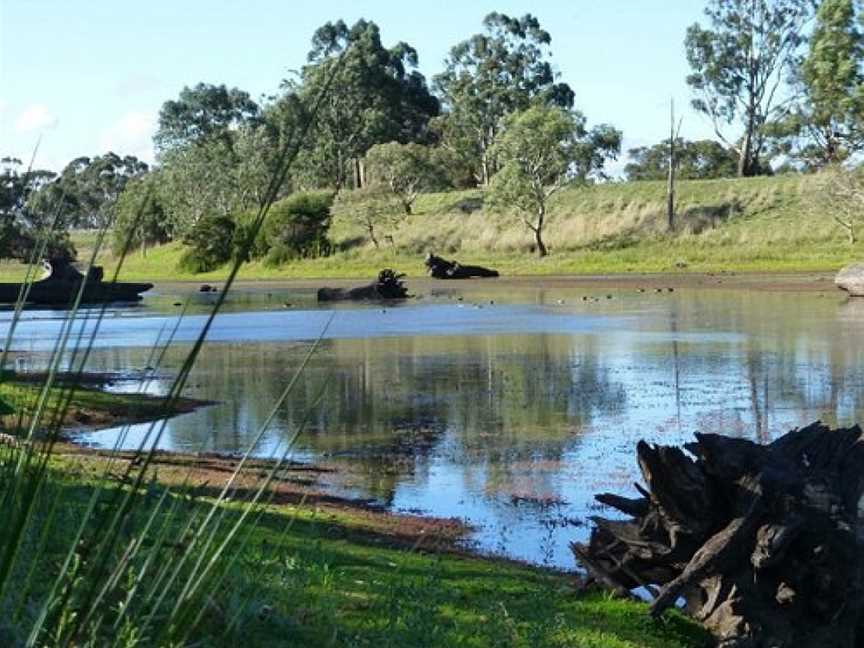 Morang Wetlands, South Morang, VIC