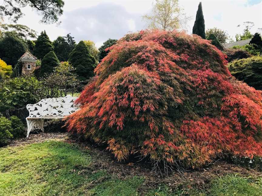 Merry Garth Garden, Mount Wilson, NSW