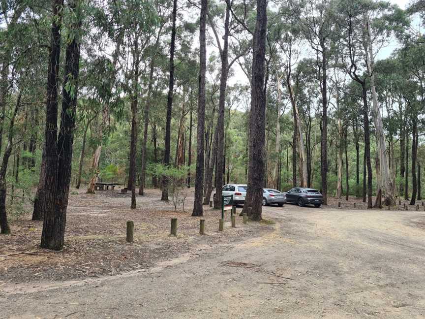 Moggs Creek Picnic Area, Aireys Inlet, VIC