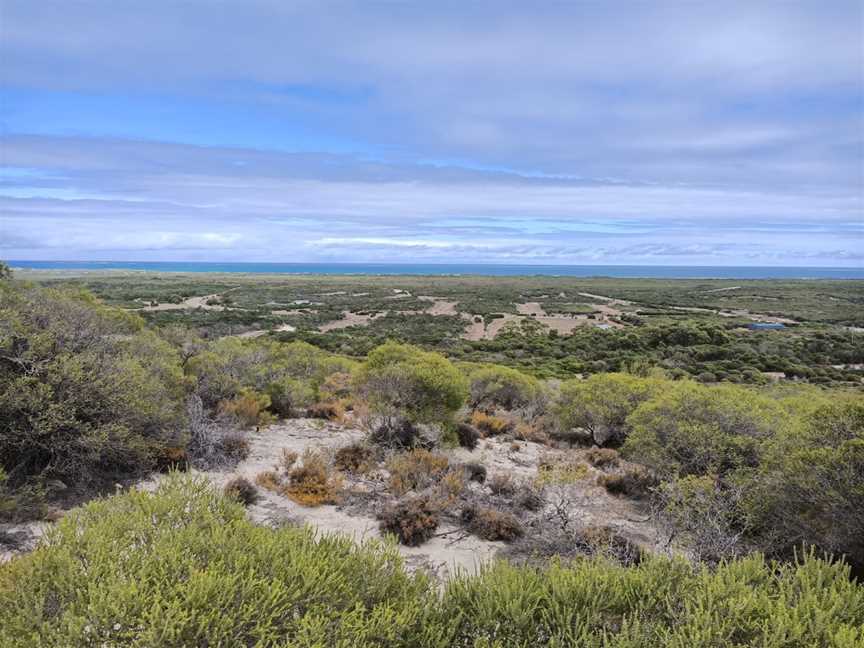 Molah Hill Lookout, Jurien Bay, WA