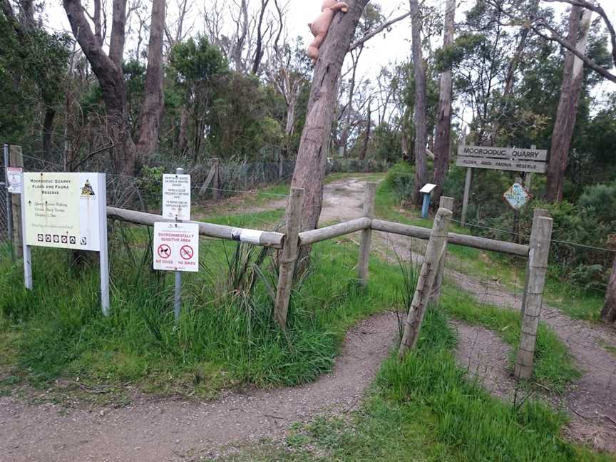 Moorooduc Quarry Flora And Fauna Reserve, Moorooduc, VIC