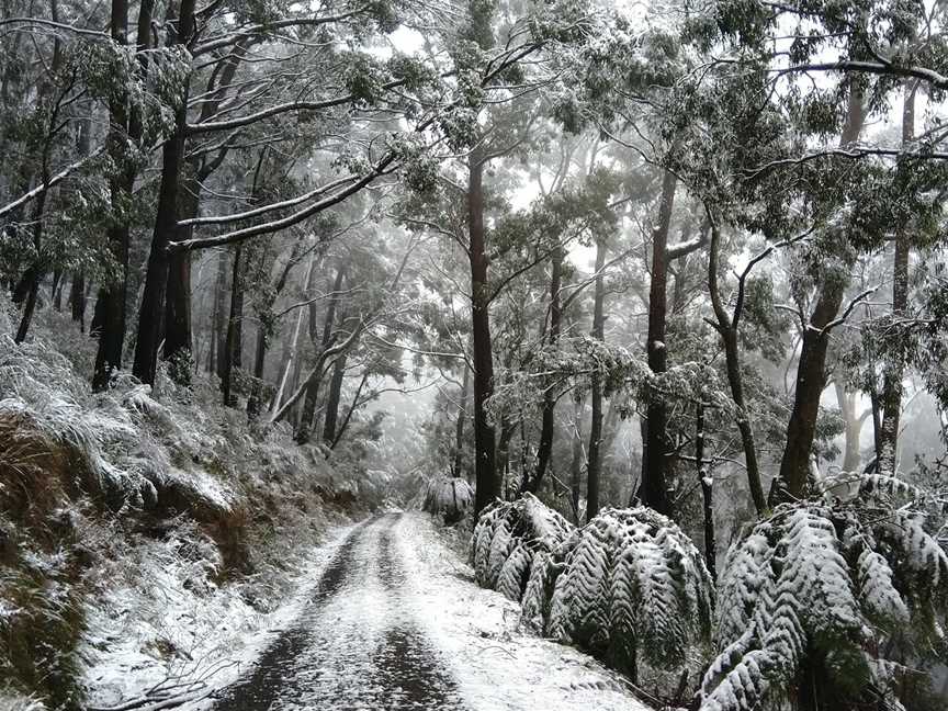 Mount Riddell, Healesville, VIC