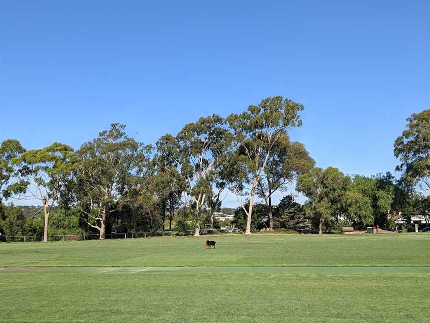 Sir Robert Menzies Reserve, Malvern, VIC